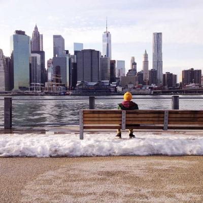 Dr. Michael Harrison